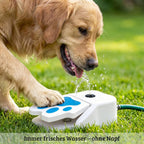Outdoor Dog Water Fountain Step-On Toy, Paw Print Pet Water Sprinkler, Garden Hose Powered Drinking Fountain for Dogs
