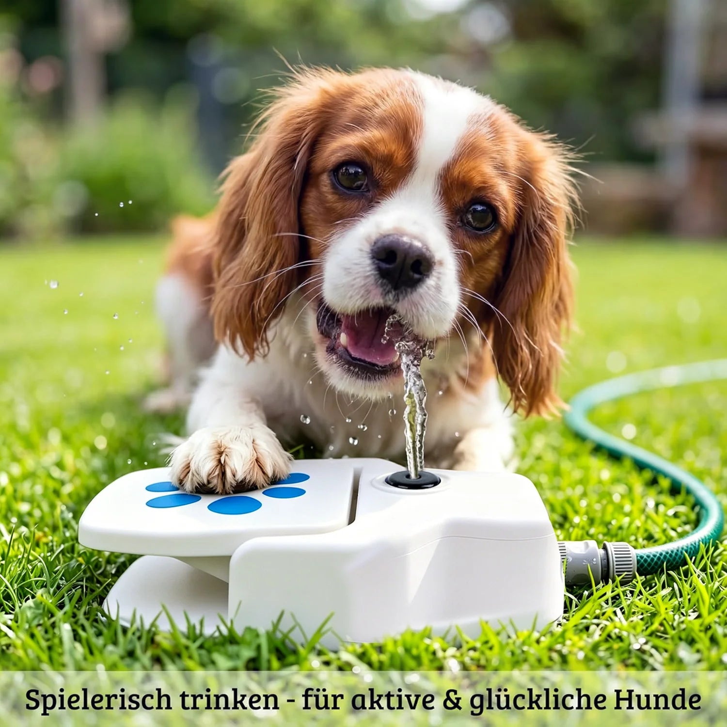 Outdoor Dog Water Fountain Step-On Toy, Paw Print Pet Water Sprinkler, Garden Hose Powered Drinking Fountain for Dogs